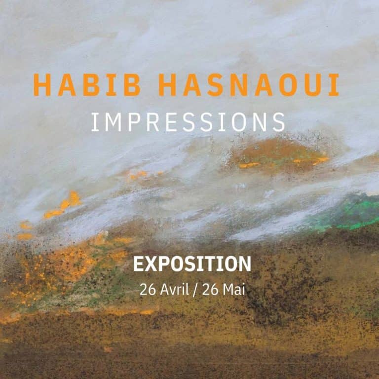 Exposition Habib Hasnaoui, du vendredi 26 avril au dimanche 26 mai